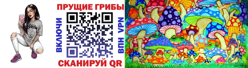 OMG ТОР  Надым  Галлюциногенные грибы мухоморы 